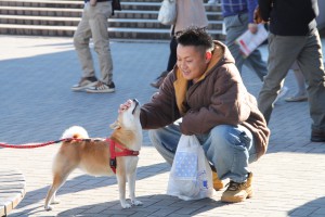 立川＆犬