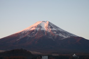 IMG_0117